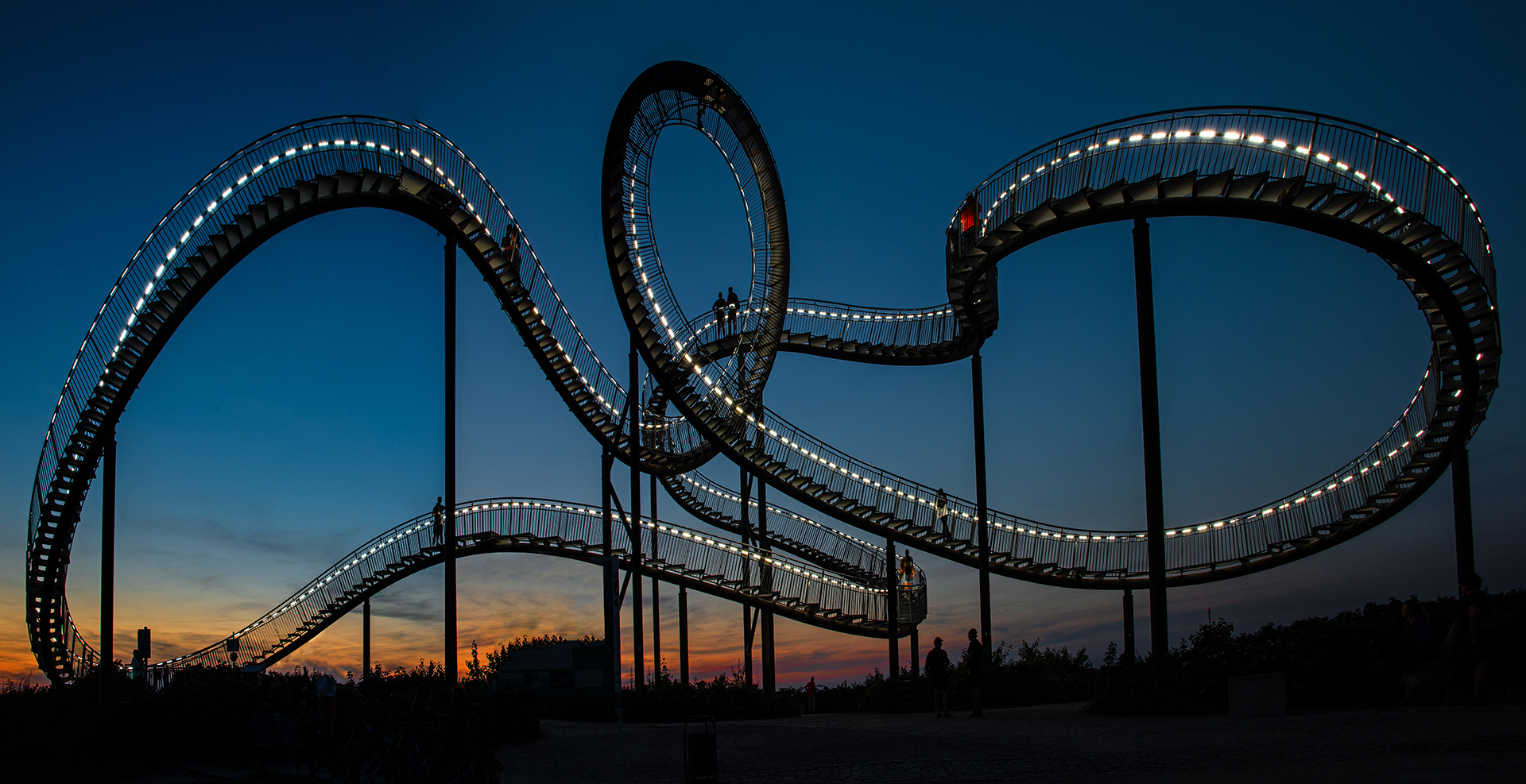 Franz Hammer (Austria) Tigerturtle5